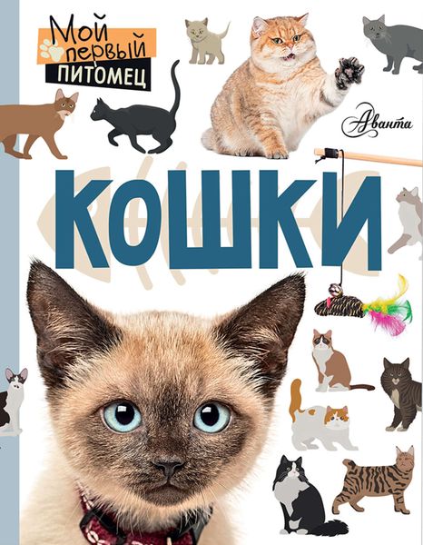 Обложка книги  «Кошки»