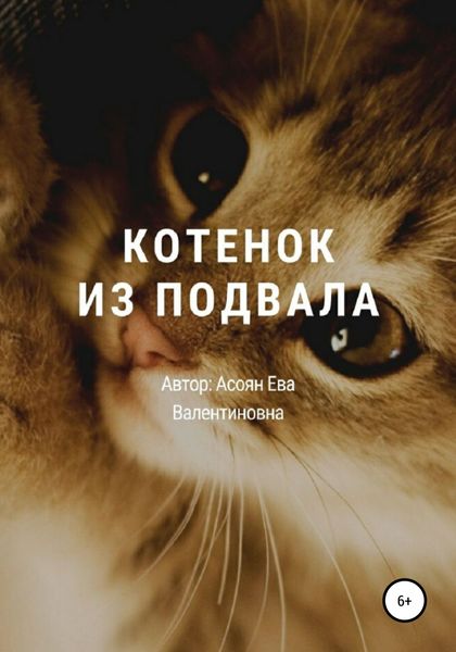 Обложка книги  «Котенок из подвала»