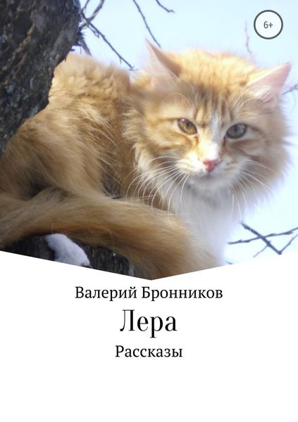 Обложка книги  «Лера. Сборник рассказов»