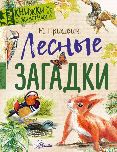 Обложка книги  «Лесные загадки»