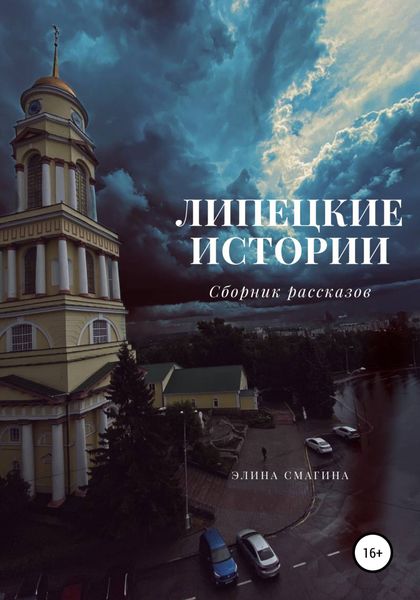 Обложка книги  «Липецкие истории»