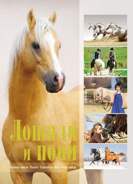 Обложка книги  «Лошади и пони»