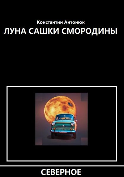 Обложка книги  «Луна Сашки Смородины»