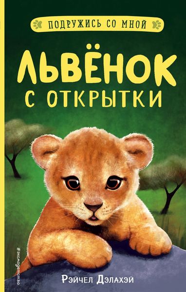 Обложка книги  «Львёнок с открытки»