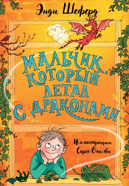 Обложка книги  «Мальчик, который летал с драконами»