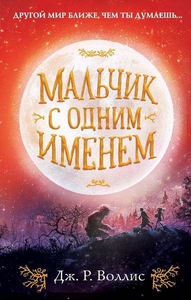 Обложка книги  «Мальчик с одним именем»