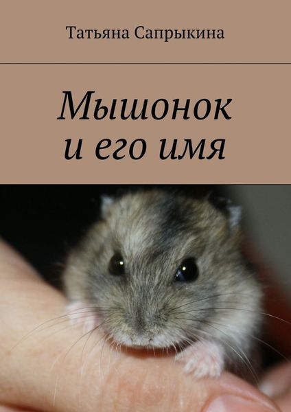 Обложка книги  «Мышонок и его имя»