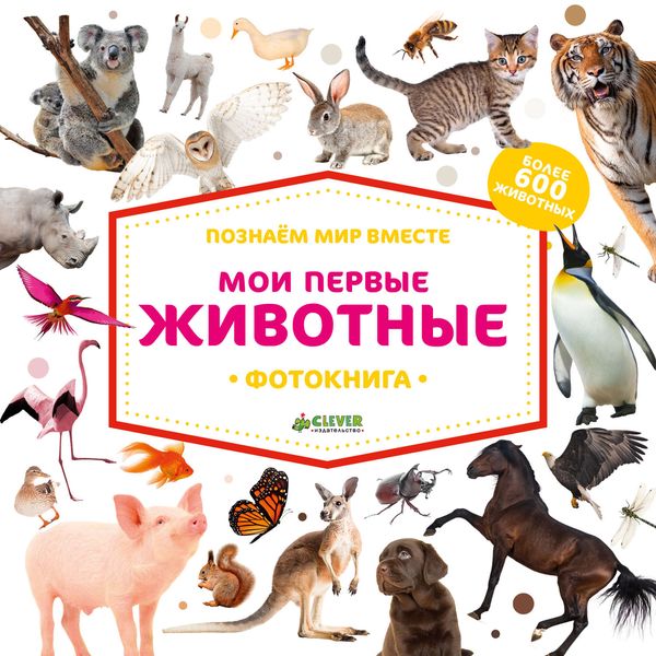Обложка книги «Мои первые животные»