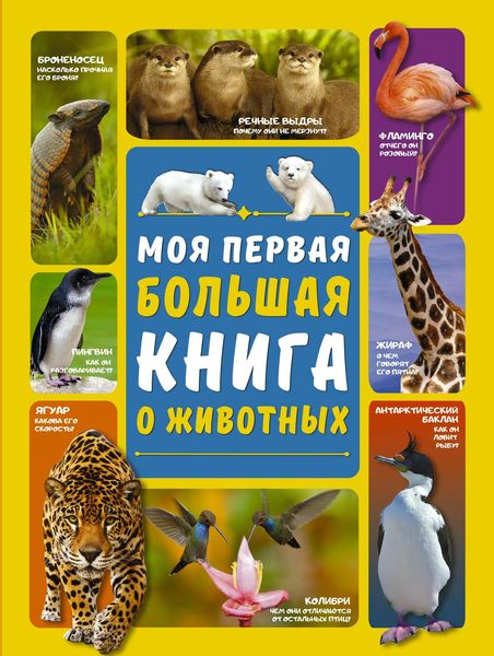 Обложка книги  «Моя первая большая книга о животных»