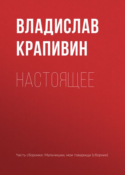 Обложка книги  «Настоящее»