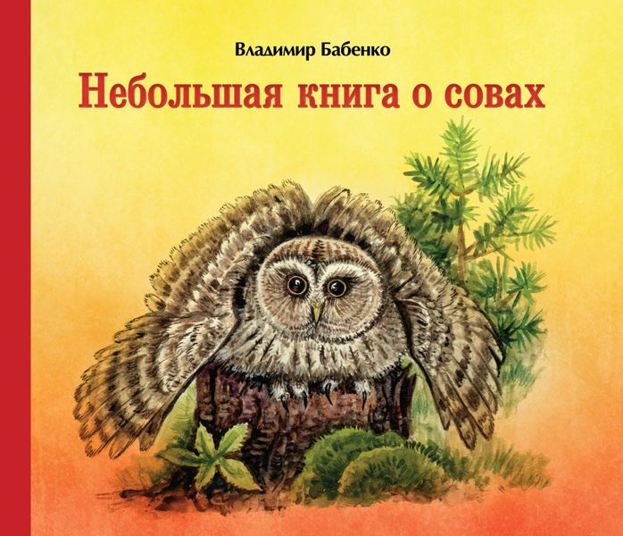 Обложка книги  «Небольшая книга о совах»