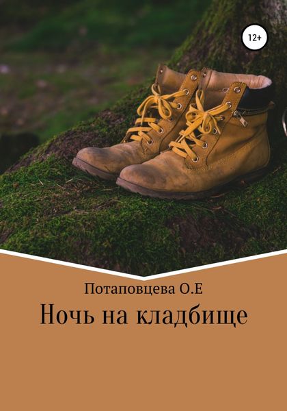 Обложка книги  «Ночь на кладбище»