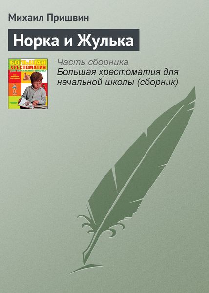 Обложка книги  «Норка и Жулька»