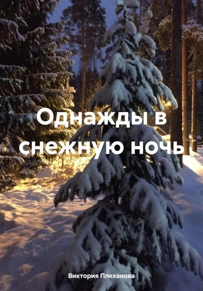 Обложка книги «Однажды в снежную ночь»