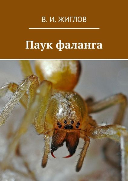 Обложка книги  «Паук фаланга»