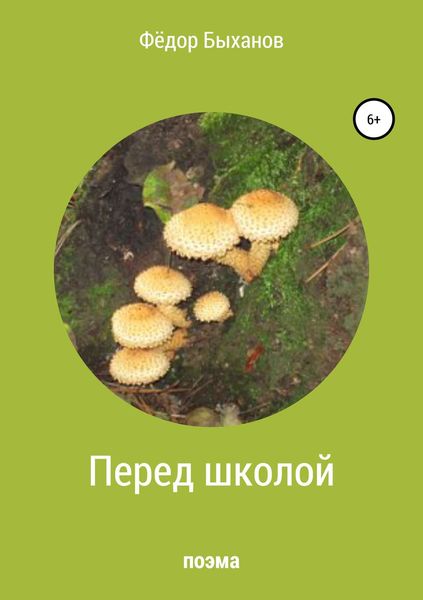 Обложка книги  «Перед школой»
