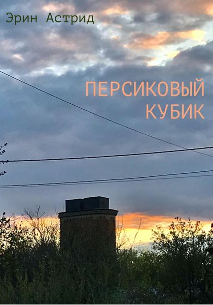 Обложка книги  «Персиковый кубик»