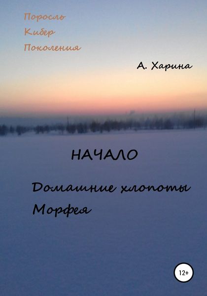 Обложка книги  «ПКП. Начало. Домашние хлопоты Морфея»