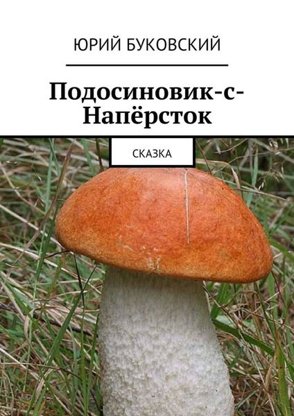 Обложка книги  «Подосиновик-с-Напёрсток. Сказка»