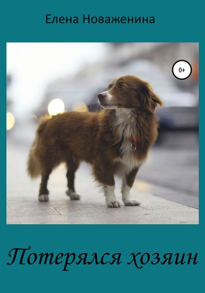 Обложка книги  «Потерялся хозяин»