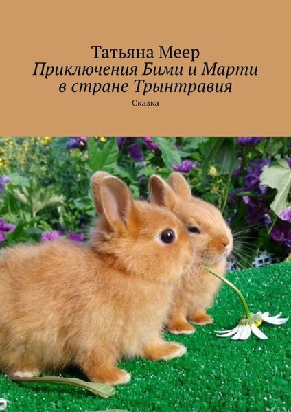 Обложка книги  «Приключения Бими и Марти в стране Трынтравия. Сказка»