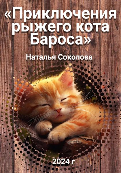Обложка книги  «Приключения рыжего кота Бароса»