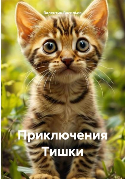 Обложка книги  «Приключения Тишки»