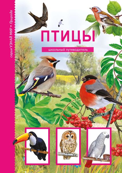 Обложка книги  «Птицы»