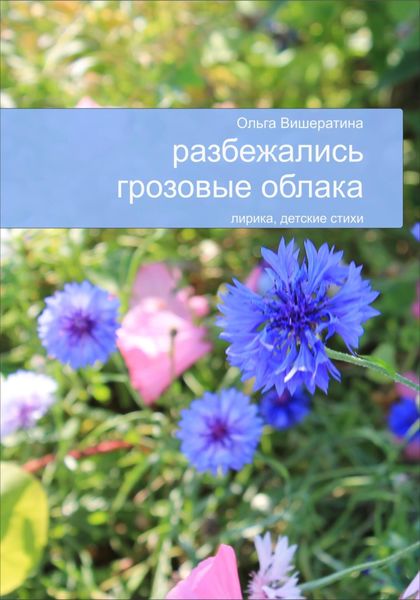 Обложка книги  «Разбежались грозовые облака»