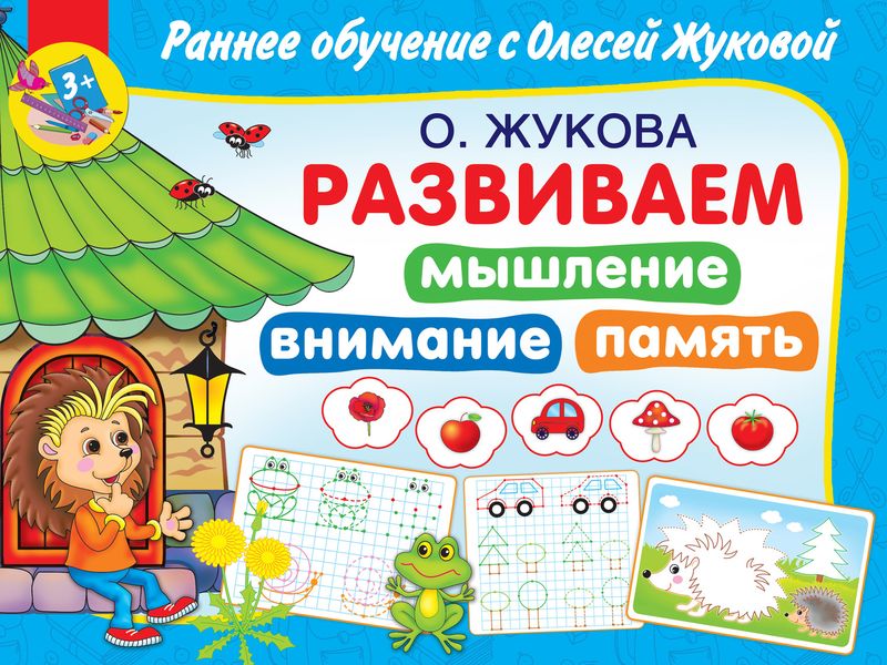 Обложка книги  «Развиваем мышление, внимания, память»