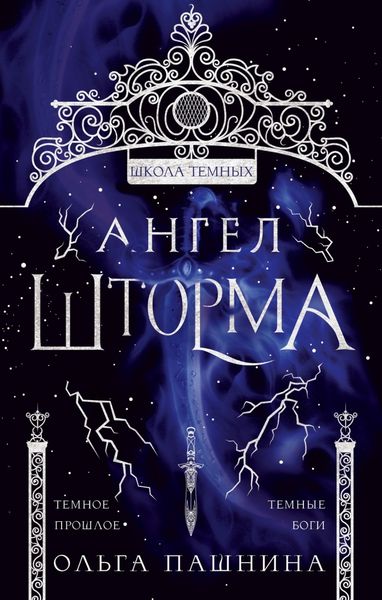 Обложка книги  «Школа темных. Ангел шторма»
