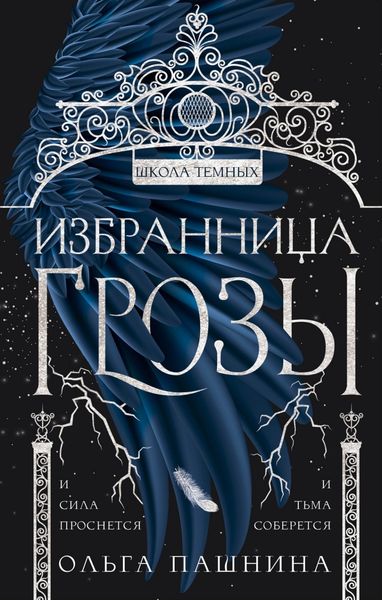 Обложка книги  «Школа темных. Избранница грозы»