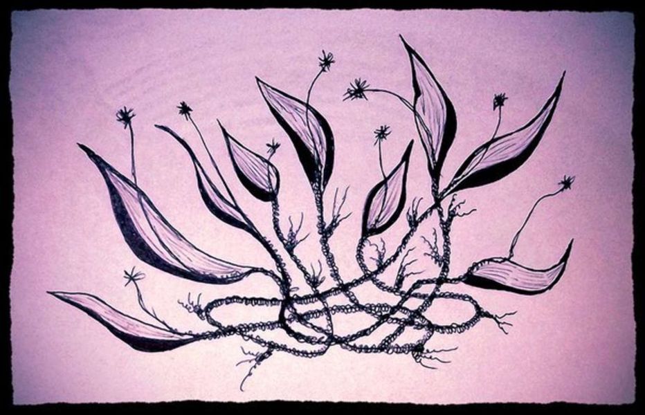 Обложка книги  «Сказка о Лунных Цветах»