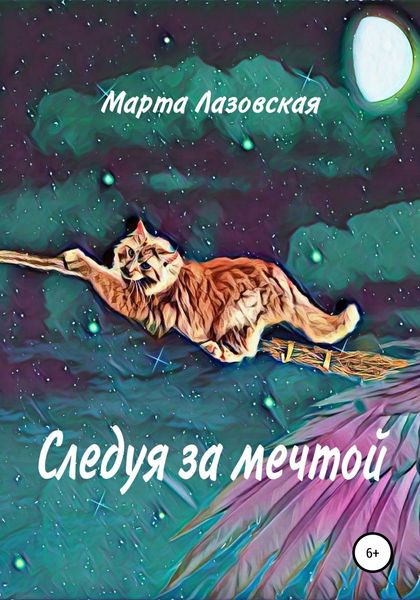 Обложка книги  «Следуя за мечтой»