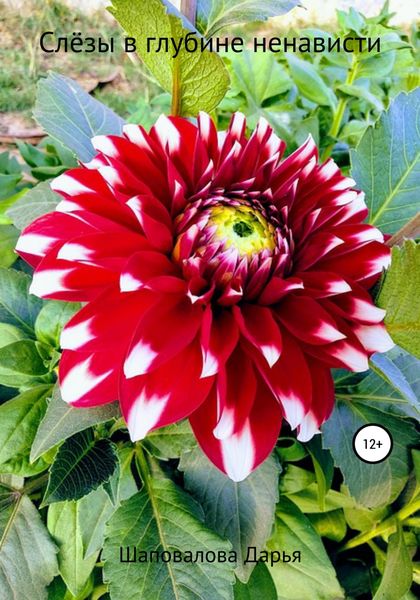 Обложка книги  «Слёзы в глубине ненависти»