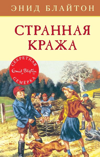 Обложка книги  «Странная кража»