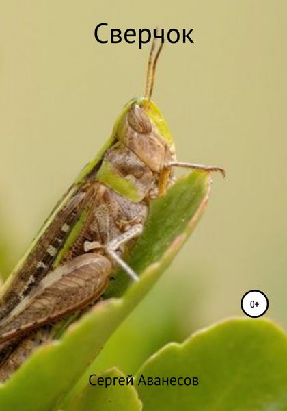 Обложка книги  «Сверчок»