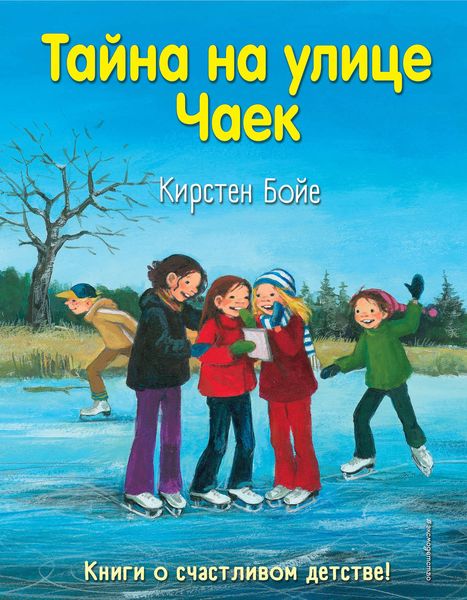 Обложка книги  «Тайна на улице Чаек»