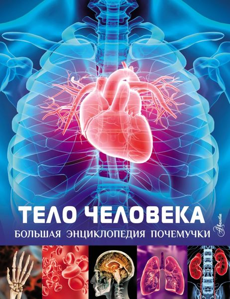 Обложка книги  «Тело человека»