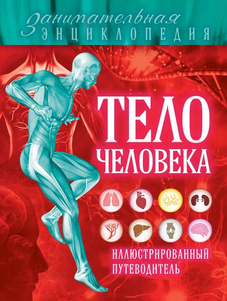 Обложка книги  «Тело человека. Иллюстрированный путеводитель»