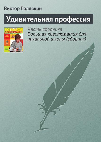 Обложка книги  «Удивительная профессия»
