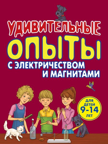 Обложка книги  «Удивительные опыты с электричеством и магнитами»