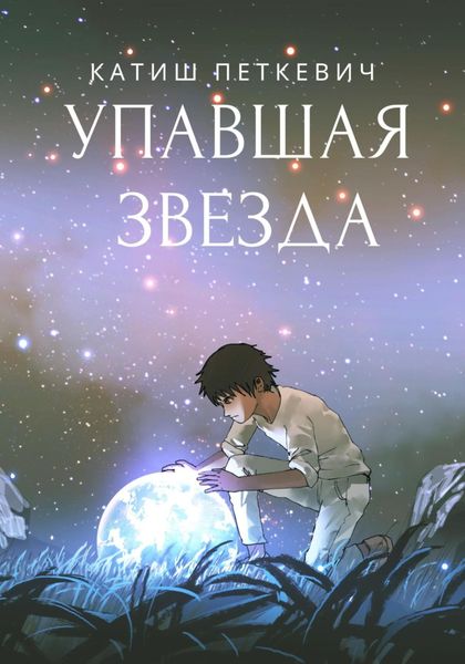 Обложка книги  «Упавшая звезда»