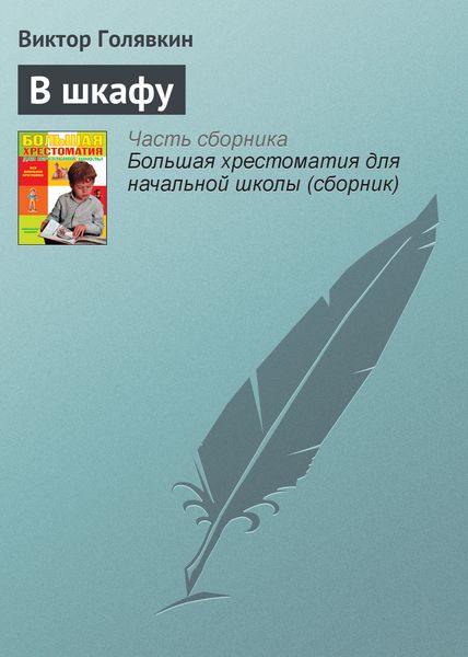 Обложка книги  «В шкафу»