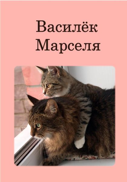 Обложка книги  «Василёк Марселя»