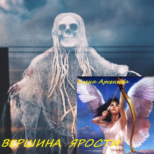 Обложка книги  «Вершина ярости»