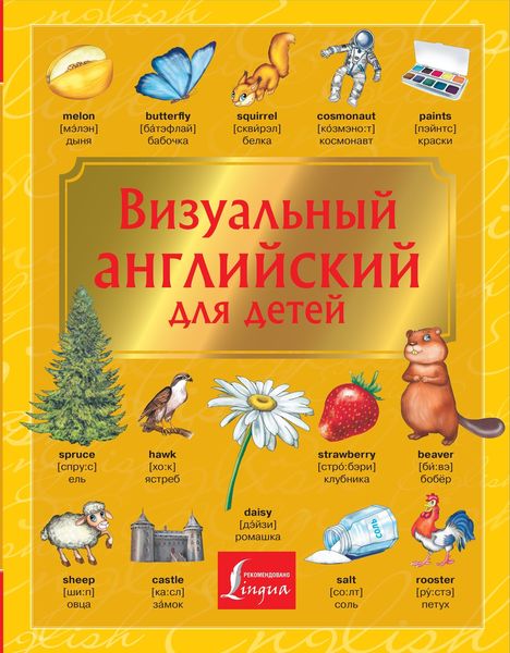 Обложка книги  «Визуальный английский для детей»