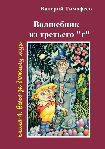 Обложка книги  «Волшебник из третьего «г». Книга 4. Всего за дюжину мух»