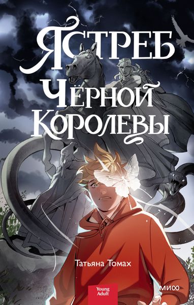 Обложка книги  «Ястреб Черной королевы»