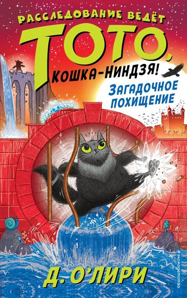 Обложка книги  «Загадочное похищение»